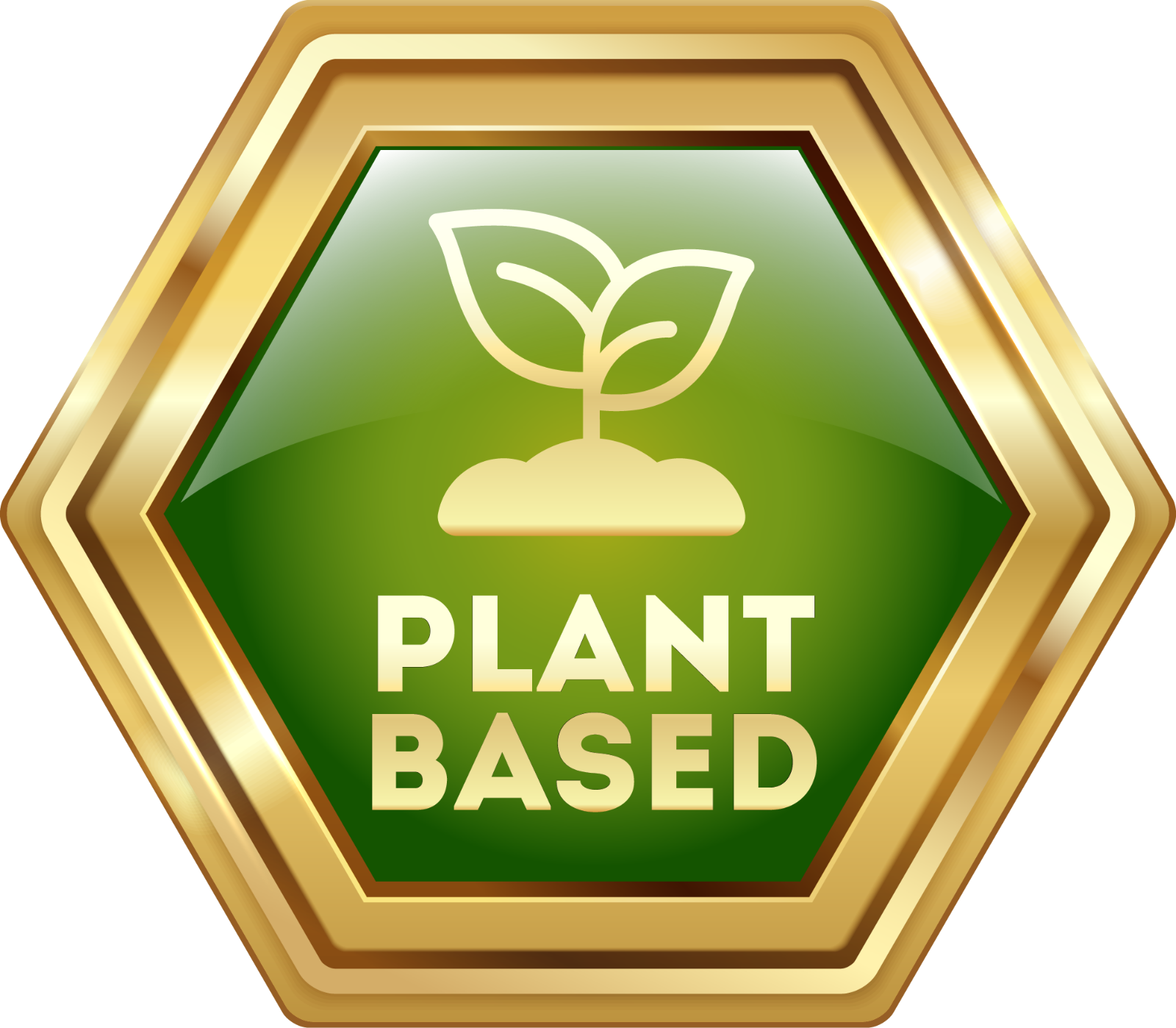 Plant Based Plant Based